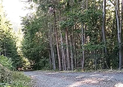 Scooter Rider Outdoor Masturbation