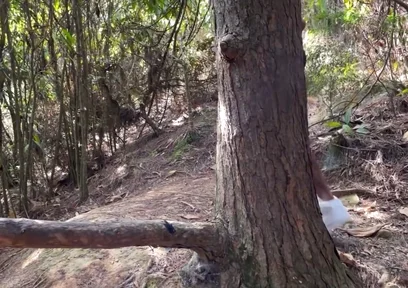 A Curious Heterosexual Boy Saw Me Masturbate in the Forest and We Ended up Fucking