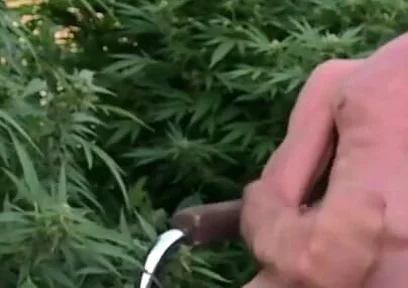 Cumshot Outdoors