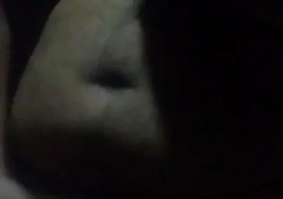 Full Cock Fun...free for You.....