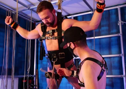 Suspended and Milked