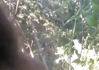 Pissing in My Backyard