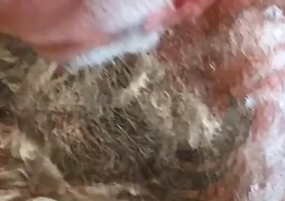Still Dirty