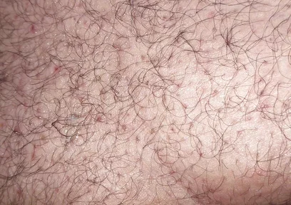 A Close up Ass Worshiping and Fingering