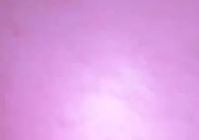Anal Fun