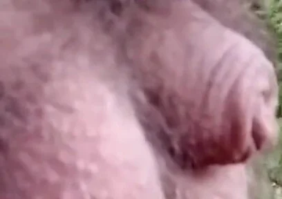Pissing in the Woods