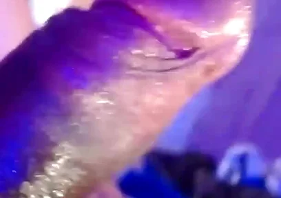 Hot Hairy Man Masturbating and Moaning