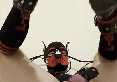 Gaping Gay Puppy Ass After Heavy Fisting Night