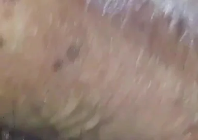 Feeling Horny Now