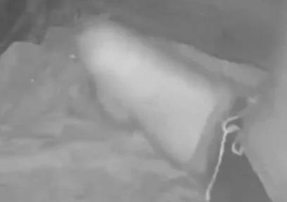 During His Jog, a Guy Discovers a Young Camper and Submits Him - Caught on Night Vision Cam