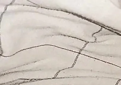 My Big Cock Without Condom Fucking Pussy