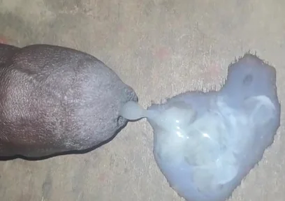 A Big Black Cock Full of Cum