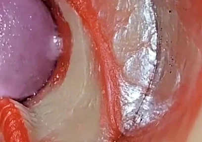 Compilation Creampie Part 2 POV