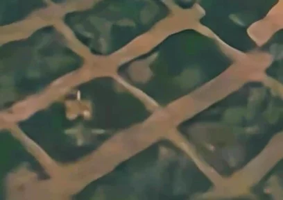 Jacking My Big Dick