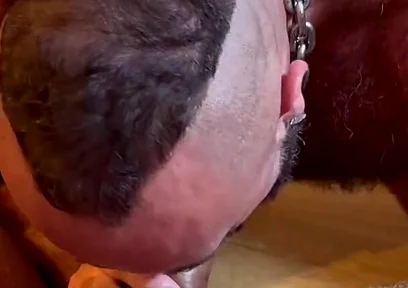 Hairy Males Fucking