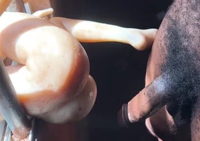 The Prisoner Cum Hard Needed to Help Cum More