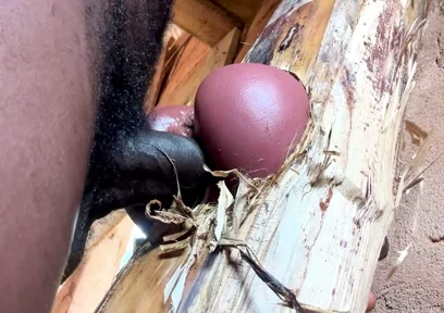 Ass Is Very Sweet in My Prison Room