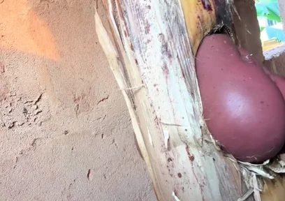 The Prisoner Find Hard Way to Sex