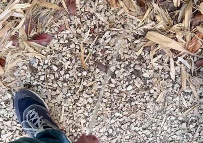 Peeing in the Garden