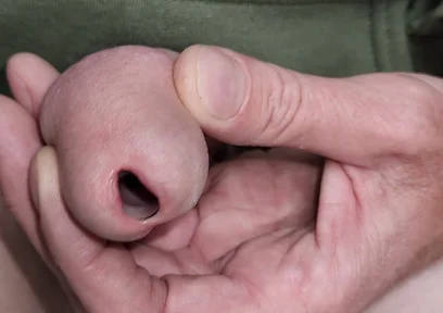 Urethral Toys and Gaping Pee Hole While Urinating