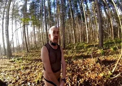 Cold Day in the Woods