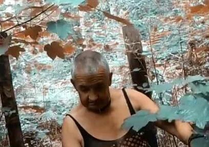 2025 Clip