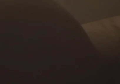 Essa Fake