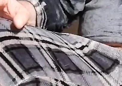 Live Show on January 31st!