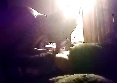 My Neighbor's Son Visits Me for Oral Sex in Secret