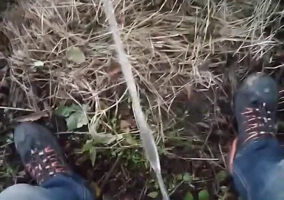 Pissing