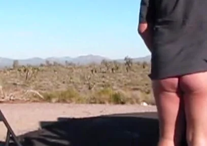 Porky Ass Gallery