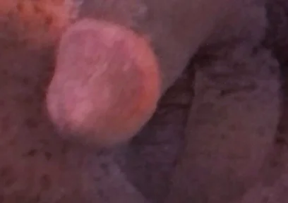 Wanna Get Fucked and Breed??