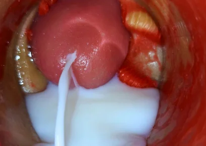 Inside POV Camera Captures an Intense Climax