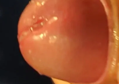 Juicy Close up