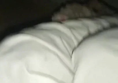 Night Time Vlog It Home and. Sex Girl Friend