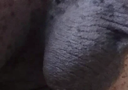 Come See My Hairy Huge Balls
