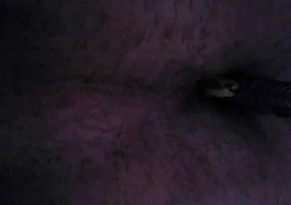 I'm Sticking a Razor Blade up My Ass.