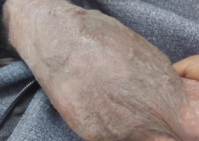 Hot and Sexy Boy Hot and Sexy Dick