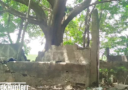 Masturbating in the Park