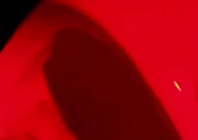 Compilation of Amateur Pissing in Different Kinds of Public Toilets