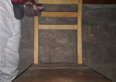 A Nice Black Cock in Need of a Good Blowjob