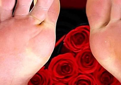 San Valentine's Master Feet Edition