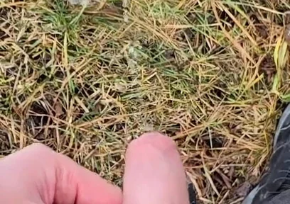 A Bit Risky Peeing - POV Outdoor Male Pee During a Nature Walk