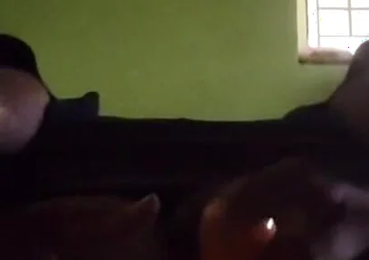 Hardcore Ass Fucking in Vegetable