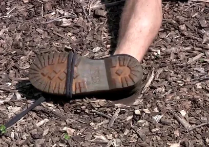 Marshall - Chapter 1