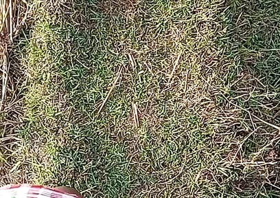 Gay Boy Outdoor Night Pussy Hole Sucking