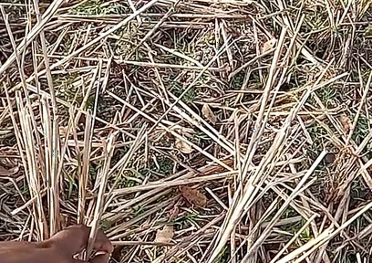 Bhabhi Gay Boy Outdoor Masterbate Pussy Hole