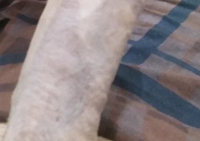 Handsome Boy Masturbation