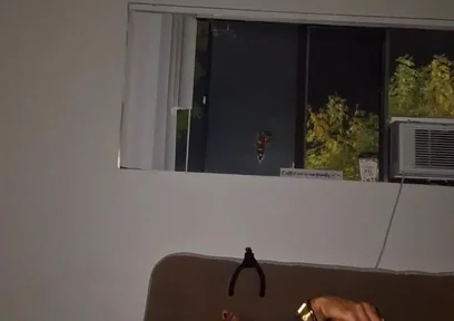 Late Night Dildo & Wank Sesh