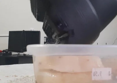 Crushing Pineapple Boots